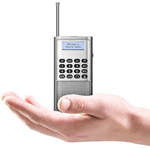 Raddy RD23 Tragbares DAB Radio Klein DAB+ UKW Digitalradio mit Akku taschenradio mit BT Küchenradio (Silber)