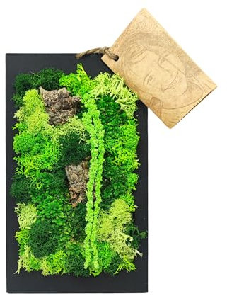 I GIARDINI DI GIULIA - Quadro da Parete in Muschio Stabilizzato | Manutenzione Zero | Design Elegante | Dimensioni Compatte 14,5x24,5 cm | Arredo Naturale | Cornice Nera, Legno