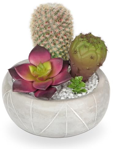 Oairse Small Artificial Cactus Plant in Cement Pots Assorted Artificial Succulent Plants Decorative Faux Cacti Small Fake Plants for Home Kitchen Bathroom Desk shelf Indoor Decor