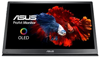 ASUS ProArt PQ22UC - Moniteur graphisme 21,5 4K portable - Dalle OLED - 0,5ms - 3840x2160 - 330cd/m² - Micro-HDMI & 2x USB-C - 99% DCI-P3 - HDR - Garantie 5 ans