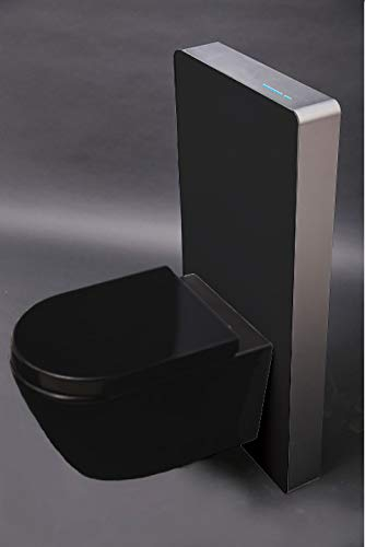 Wc-Komplettpaket 33: WC B-8030R Schwarz Matt mit Soft-Close Sitz & Sanitärmodul 805S Schwarz