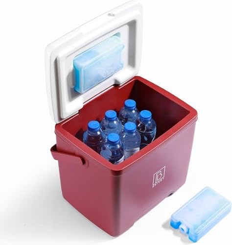 Brisby Kühlbox 13 Liter - 18 Stunden warm - 40 Stunden kühl - Inklusive 2 große Kühlelemente 450 ML -Kühltasche für Arbeit, Camping, Grillen oder Urlaub – BPA-frei