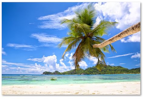 Postereck - 1909 - Palme, Meer Strand Sand Urlaub Sommer Entspannung - Wandposter Fotoposter Bilder Wandbild Wandbilder - Poster - 3:2-91,0 cm x 61,0 cm