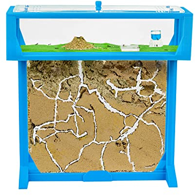 Anthouse - Natürliche Ameisenfarm aus Sand | T 3D Set Big 25x20x1,5 cm Blau | Inklusive Ameisen
