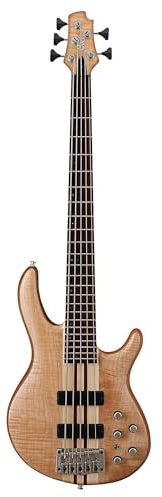 Cort B-001 – 0749 – 0 Professional Electric Bass 5 String