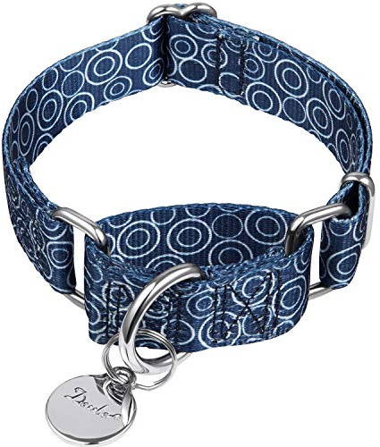 Dazzber Martingal Halsbänder für Hunde, Einstellbar-Heavy Duty- Weiche-Glatte-Leichtes Gehen Sie den Hund für Große/Klein Hunde (Mittlere, 2.5cm Breit, Marineblau)