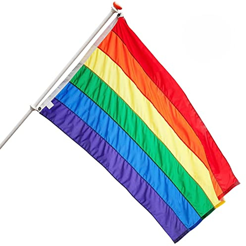 Hananona Regenbogen-Flagge, 90 x 152 cm, große genähte Streifen, Regenbogen-Flagge, Umhang für den Außenbereich, LGBTQ-Stolz-Flagge, Wanddekoration (Regenbogen x 2)