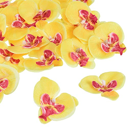PATIKIL 2.8 Artificial Orchid Flower Heads, 40 Pack Silk Phalaenopsis Fake Butterfly Orchid Heads for Wedding Floral Bouquet Decor DIY Craft Making, Yellow