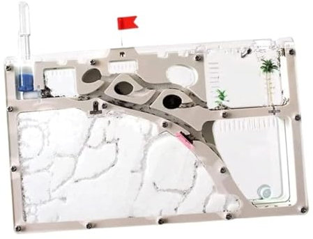 Ameisennest Ameisenfarm Ameisenhaus Ameisenburg, Ameisenfarm Aus Klarem Acryl, Ameisenfütterungskasten, Werkzeugplatzierung, Home-Office, Ameisennest, Farm-Lernset Ameisen Terrarium Ameisen Zucht Box