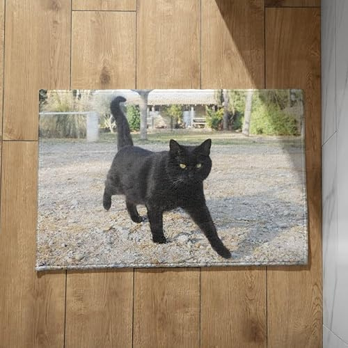 EHOMERY Fußmatten Innen Groß Türmatte Innen rutschfest Schwarze Katze Fußmatte Quadratisch Türmatte Groß Bunt 40x60cm, rutschfeste Dekorative Fußmatte Aus Plüschbaumwolle