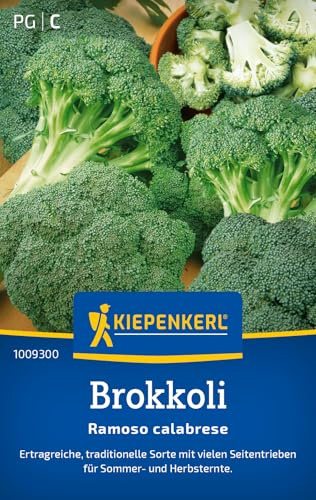 Kiepenkerl Brokkolisamen Ramoso calabrese 1009300, Gemüsesaat | Inhalt für 75 Pflanzen, Wuchshöhe 60 cm
