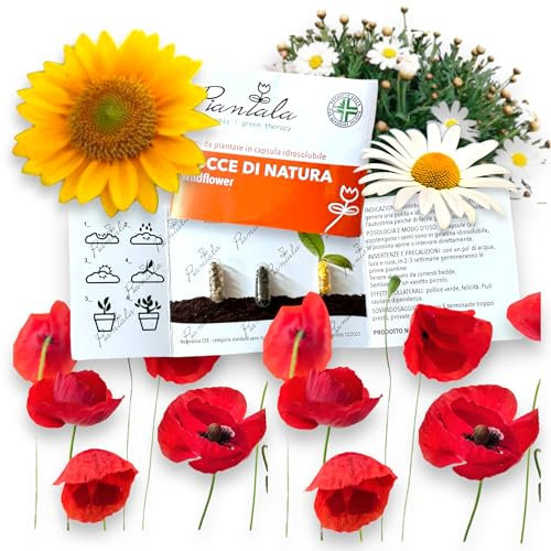 KIT SEMI PIANTABILI in BLISTER da 3 capsule (WILDFLOWER: margherita, papavero, girasole)