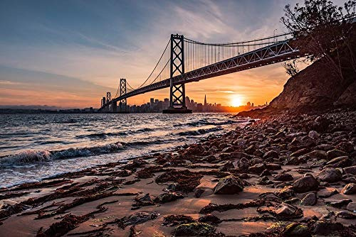 ArtExpert Sunset from the Island 2 by Bruce Getty - 24x16 Art Print Poster