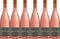 Staatsweinkellerei Eberbach Eberbach Rosé 2023 Trocken (6 x 0.75 l)