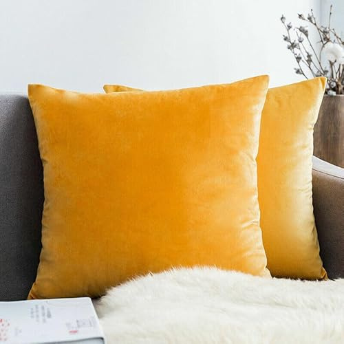 Seechoo Sammet kuddfodral, set med 2, 45 cm x 45 cm, 18 x 18 tum, 17 färger, extra mjuk plysch, dekorativ, osynlig dragkedja (ockre)