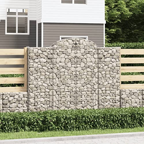 Nqyjm Gabionkorgar 6 st bågform järn 200 x 50 x 160/180 cm galvaniserad korg staket för metallträdgård gabion planteringslåda