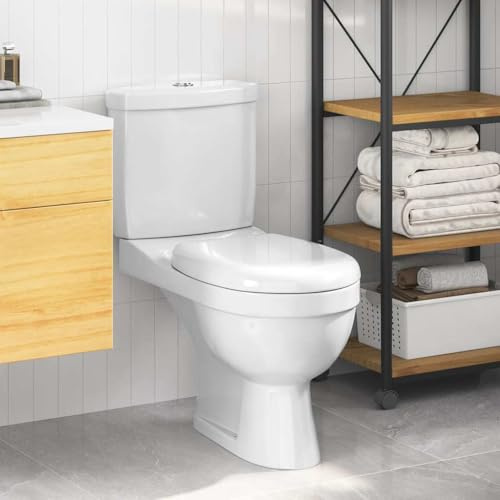 Kaloriko Inodoro de cerámica con cisterna blanca, doble mecanismo de descarga de 3 y 6 litros, salida trasera, dimensiones 70 x 39 x 76 cm, ahorro de agua y fácil de limpiar para baño y fontanería