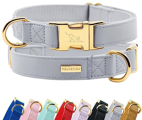 VELVETIER Hundehalsband Manhattan (Grau), veganes Leder, M/L 39-59 cm | Für mittlere und große Hunde, goldene Schnalle, veganes Leder, Schäferhund, Border Collie