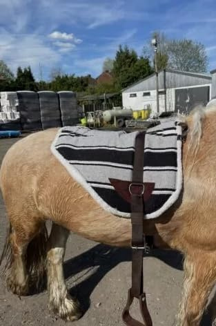 Horse Master New Bareback Pad with Free Girth and Stirrups for Horse, Non Slip Sale, Made from Anti Slip Micro Suede, Available in Three Color Comfortable Tack Equipment, Safe (Grey)