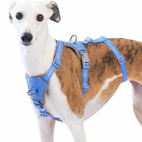 Huntboo Medium Rymningssäkert Hundsele, Anti-drag Reflekterande Hundsele, Säker 5-punktsväst för Små Djur, Lättviktig, Justerbar, för Stora Hundar vid Utomhusträning och Vandring (Havsblå,XL)