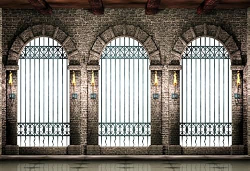 Leyiyi 7x5ft Photography Backdrop Gothic Castle Background Ancient Stone Architecture Prizon Pathway Arch Hall Metal Gate Underground Torch Medieval Corridor Europ Photo Portrait Vinyl Studio Prop