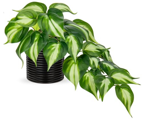 Hollyone Künstliche Pflanzen in Keramiktöpfen, Fake Jade Pothos Dekorative Pflanzen Künstlich in schwarzen Töpfen, Wie echte künstliche Pflanzen für Haus, Tisch, Büro, Schreibtisch Deko