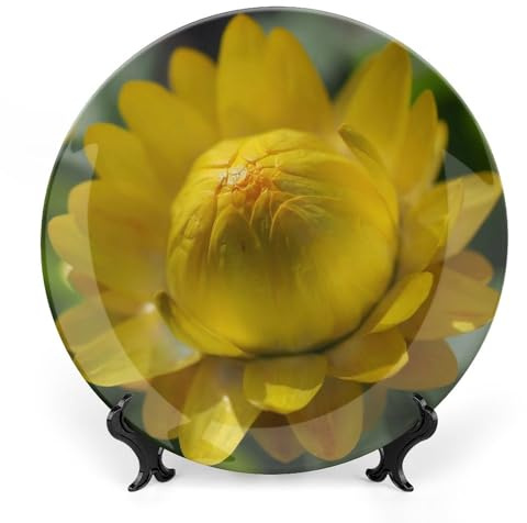 Flower Blossom Decorative Plate for Wall Ceramic Home Wobble-Plate with Display Stand Table Decor Ornament Thanksgiving Christmas Decoration Porcelain Dinner Plate Dessert Dish 10