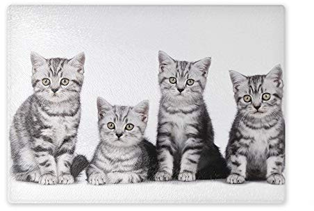 Schneidebrett/Glasschneidebrett 20x28x0,4cm - Motiv: Katze British Shorthair vier Jungtiere | 04