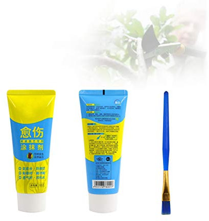 Pâte médicinale pour plantes - 100 g - Pâte à greffer bonsaï avec pinceau - Pâte anti-crevaison efficace pour plantes - Mastic liquide - Pâte d'élagage des arbres (Plant Healing