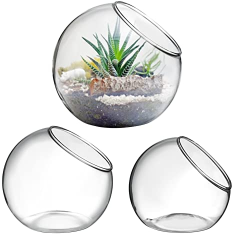 Lot De 3 Vases en Verre Transparent pour Plantes, Terrarium Plante, Vase Rond, Bol en Verre, DéCoration Maison Et Bureau, 8cm+10cm+12cm