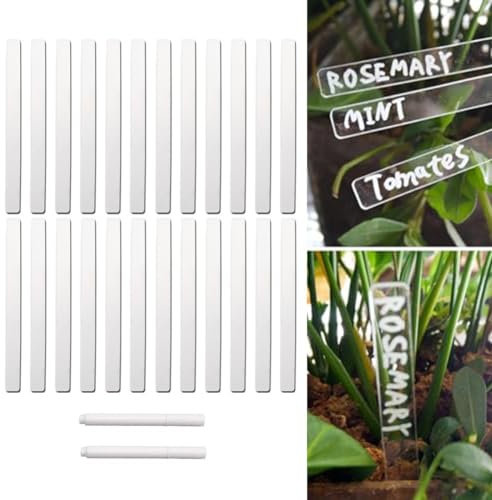 Lot de 120 étiquettes en acrylique transparent pour plantes en pot - 12 cm x 1 cm