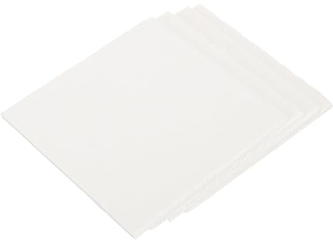 HEMOTON 4 Stück Pflanzenprobenwerkzeug Blumenkunst Drücken Pressbrett Für Obst Pressbretter Für Getrocknete Blumen Gepresstes Blumenpapier Blattpressplatten Papier Machen Karton Haupt Weiß