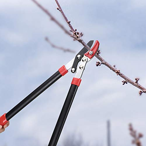 AUNMAS Tijeras de Podar, SK5 Tijeras de Podar de Acero con Alto Contenido de Carbono Cortador de Ramas de 21,3 Pulgadas con Ergonómico de Apertura de 2,2 Pulgadas para árboles Frutales, Arbustos
