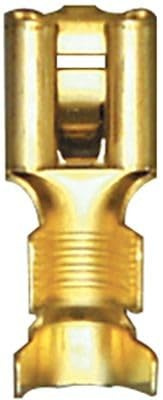 Restagraf Capocorda Piatta Nuda Femmina per connettore Standard in Nylon, in Blister, 6,35 mm x 0,8 mm, 2,6 a 6 mm2, Confezione da 10