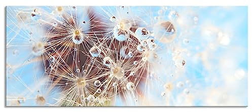 Pixxprint Glasbild Panorama, Wandbild aus Echtglas, Tropfen an Pusteblume Nahaufnahme, 100x40 cm, inkl. Aufhängung und Abstandshalter