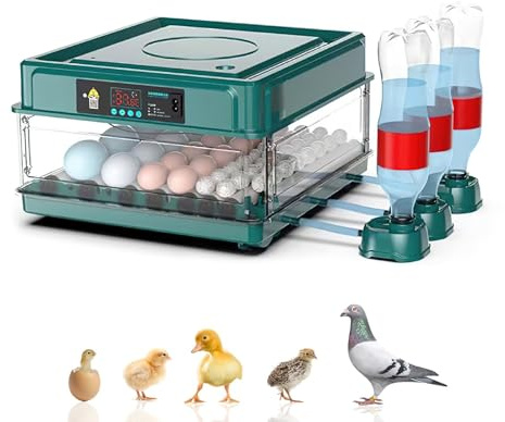 Automatischer Inkubator, Brutmaschine, automatischer Brutautomat, 24/36 cm, mit automatischem Umdrehsystem und Temperaturkontrolle, geeignet für Hühnereier, Wachteleier (36 Eier)