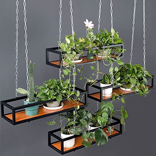 Support pour Plantes Présentoir à fleurs Étagère suspendue au plafond Support de rangement pour montage au plafond Planches en bois Présentoir en métal avec chaîne en fer x4 Bouteille de vin