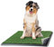 PETMAKER Tappetino per cuccioli di erba artificiale per cani e animali di piccola taglia, 61 x 48 cm, riutilizzabile, a 4 strati, con vassoio, accessorio per la rottura della casa del cane