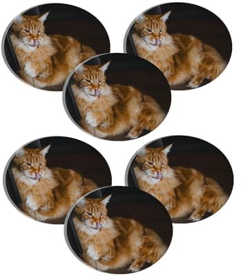Lpraer 6er Personalisierte Foto Magnete selbst gestalten Magnet Bilderrahmen Fotorahmen Kühlschrankmagnete Fotomagnet niedliche Dekorative für Kühlschrank Magnettafel Whiteboard Pinnwand(Oval)