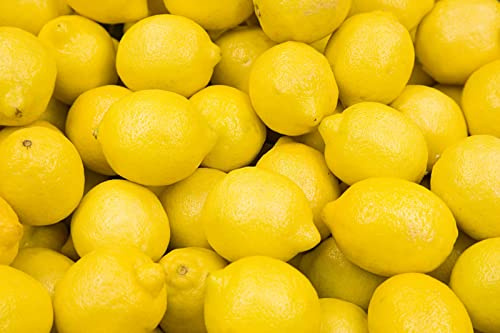 50 semi di limone da piantare, non OGM, varietà tradizionale e biologica, alta sopravvivenza, per giardini domestici