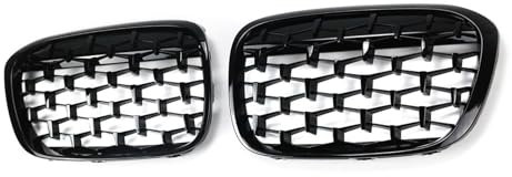 Kühlergrill für die Vordere Stoßstange des Autos, Kompatibel für BMW X1 F48 2016-2019, Kühlergrillabdeckung aus Netzgewebe für die Stoßstange,Gloss Black