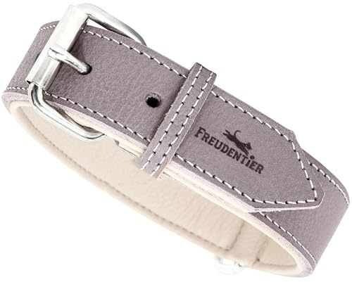 FREUDENTIER Hundehalsband Leder - weich gepolstert - Handmade in EU