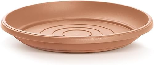 B2C Round Plastic Water Plant Pot Saucer Trays Terracotta Anthracite Weather-Resistant13 sizes 9-54cm (Terracotta, 54cm ⌀)