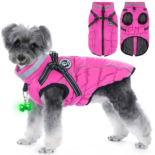 HezzLuv Hundemantel Winter, Hundemantel Wasserdicht, Warme Hundejacke mit Geschirr, Reflektierende Streifen, LED-Leuchtkragen, Winterjacken & Wintermäntel für Kleine, Mittelgroße Hunde, Rosa, M