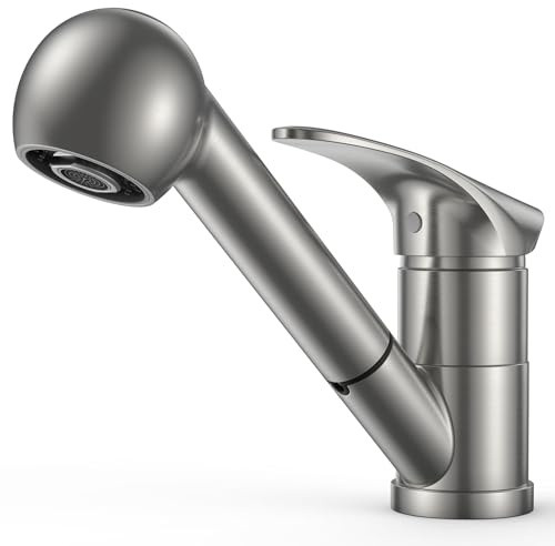 FORIOUS Wasserhahn Küche, Edelstahl Spültischarmatur mit Brause, Einhebelmischer Küchenarmatur, 360° Drehbar Mischbatterie Küche für 1 Loch