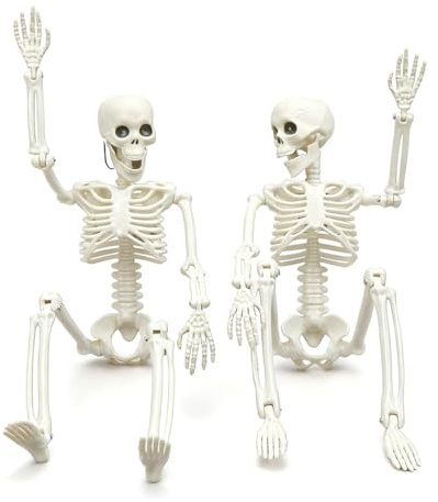 Cadimus 2 Stück Halloween Skelett Deko,40cm Skelett mit Ganzkörper Bewegliche,Halloween deko Outdoor Skelett,Skeleton für Horrorpartys, Esstische,Spukhäuser,Friedhöfe,Außendekorationen
