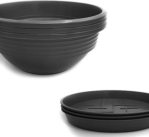 Plastard Pflanzschale mit Untersetzer im 3er Set in Anthrazit 25 cm Durchmesser große runde Blumenschalen aus Kunststoff für Garten Terrasse Wohnung für Aussen und Innen Schalen Pflanztopf