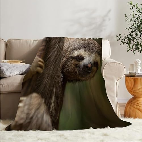 Flanell Wohndecke Kuscheldecke Faultier 220x240 Große, Tier Sofa Decke Weiche mit Motiv, Microfaser Fleecedecke Plaid Decke Wohnzimmer Couch