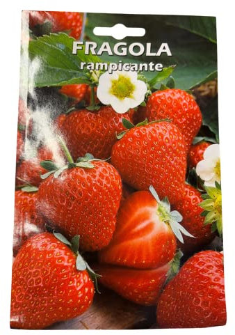 Semi Sementi Fragola Rampicante Perenne 10 Gr da 80-160 Cm Giardino Giardinaggio