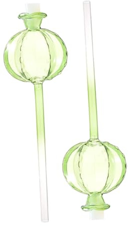 GALPADA 2pièces Globes Arrosage Automatique Verre Arrosoir Pratique pour Plantes Intérieur et Extérieur Bulbes Arrosage pour Fleurs